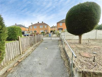 Picture 25